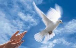 DISPARITION DE Mmes CORBET ET PERREIN