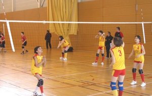 0/03/08 3eme tour Coupe RA Benjamine à Villette