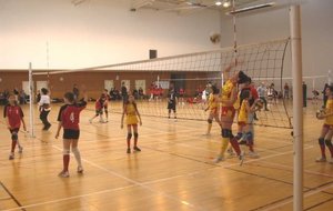 0/03/08 3eme tour Coupe RA Benjamine à Villette