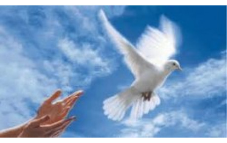 DISPARITION DE Mmes CORBET ET PERREIN