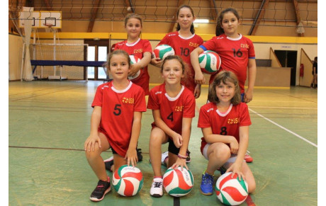 MISES A JOUR DE LA PAGE POUSSINES