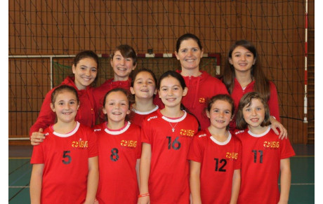 PLATEAU POUSSINES DU 28 NOVEMBRE