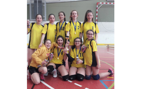 SECTION VOLLEY DU COLLEGE JULES VERNE DE VARCES