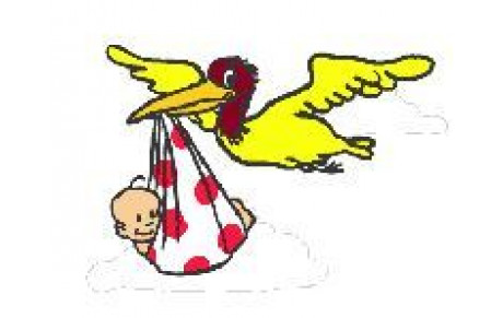 CARNET ROSE A L'USVG