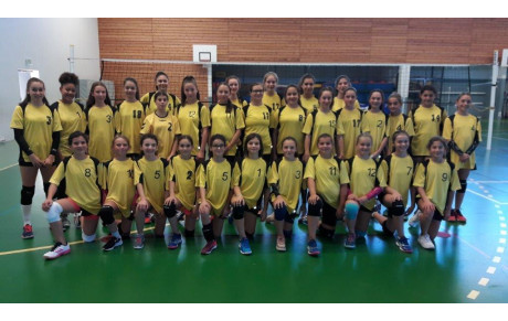 RESUME DE LA SAISON DES MINIMES DU COLLEGE