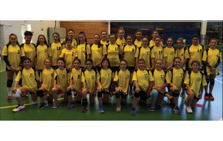 CLASSE VOLLEY DU COLLEGE JULES VERNE